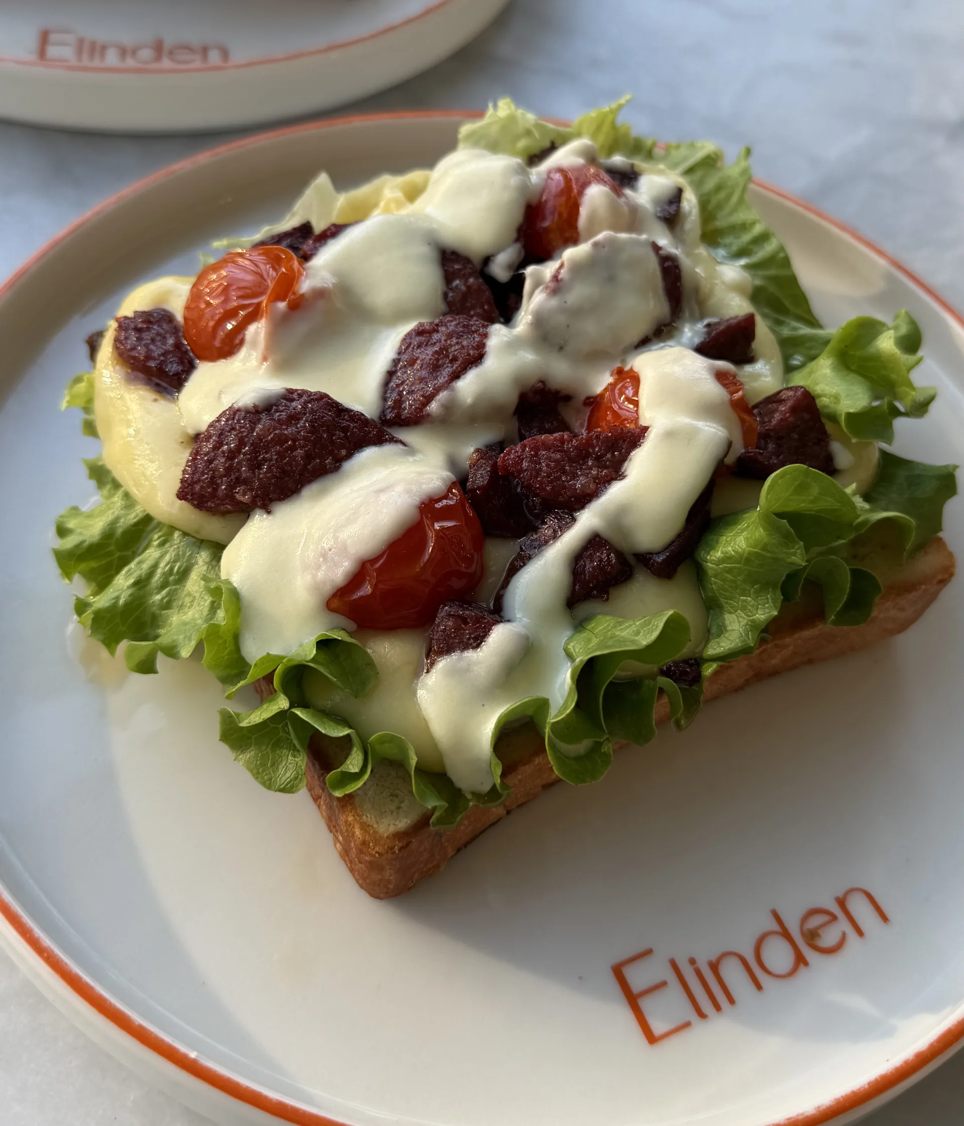 Kasap Sucuk - Mozarella Fransız Tostu